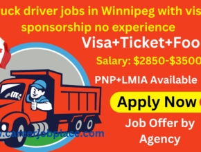 Truck driver jobs in Winnipeg with visa sponsorship no experience