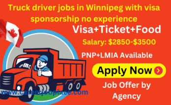 Truck driver jobs in Winnipeg with visa sponsorship no experience