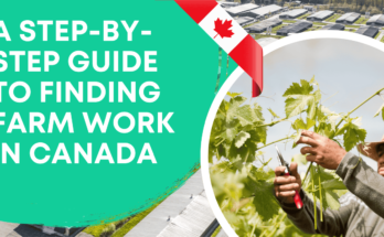 A Step-by-Step Guide to Finding Farm Work in Canada