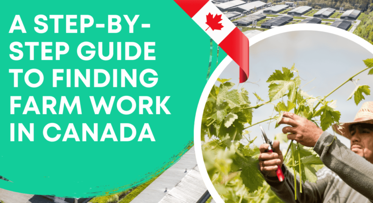 A Step-by-Step Guide to Finding Farm Work in Canada